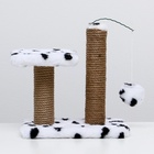 Когтеточка для котят двойная, 30×20×34 см, джут, далматинец - Фото 3