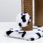 Когтеточка для котят двойная, 30 х 20 х 34 см, джут, далматинец - фото 8910761