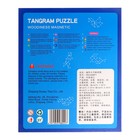 Танграм магнитный «В книжке», 7 деталей, 18×22×1.5 см - Фото 5