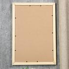 Фоторамка для фото 30×45 см «Бесцветная», сосна  (артикул 5114901)  большой выбор товаров оптом и в розницу по низким ценам с доставкой