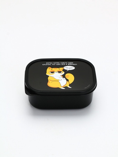 Ланч-бокс «Когда хотел съесть один кусочек», 500 мл