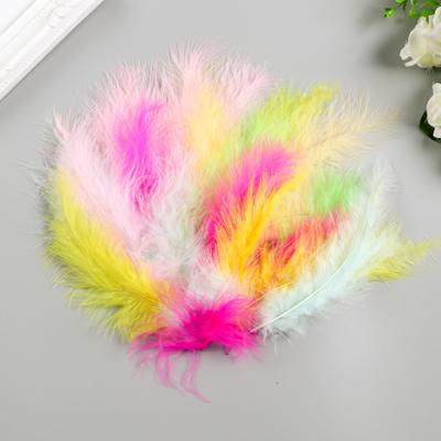 Перья декоративные страусиные, 10-12 см, набор 24 шт., 6 цветов, пастель, ассорти