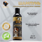 Шампунь-кондиционер «Пижон Premium», 250 мл, гипоаллергенный, для котят и щенков - Фото 1