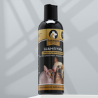 Шампунь-кондиционер "Пижон Premium" гипоаллергенный, для бесшёрстных собак и кошек, 250 мл - фото 2100809