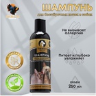 Шампунь-кондиционер «Пижон Premium», 250 мл, гипоаллергенный, для бесшёрстных собак и кошек - Фото 1
