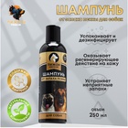 Шампунь от запаха псины «Пижон Premium», 250 мл, для собак - Фото 1