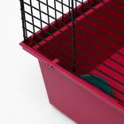 Клетка для грызунов "Пижон" №4, с этажом, укомплектованная, 37 х 26 х 18 см, рубиновая - Фото 7