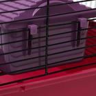 Клетка для грызунов "Пижон" №4, с этажом, укомплектованная, 37 х 26 х 18 см, рубиновая - Фото 11