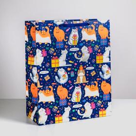 Пакет ламинированный «Коты», XL 49 × 40 × 19 см