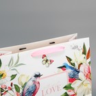 Пакет подарочный ламинированный с пластиковым окном, упаковка, «Love», 32,5 х 26,5 х 13,5 см - Фото 6