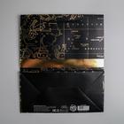 Пакет подарочный ламинированный вертикальный, упаковка, Gold present, ML 23 х 27 х 11,5 см - фото 23263883