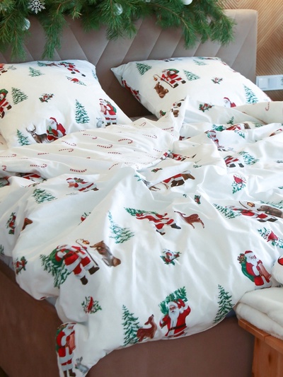 Постельное бельё 2-спальное «Этель. Новогодний лес», поплин