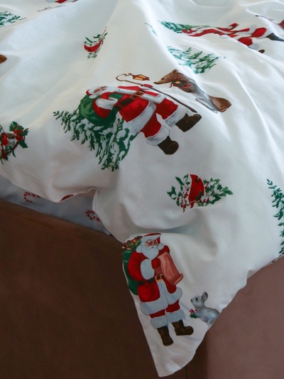 Постельное бельё 2-спальное «Этель. Новогодний лес», поплин