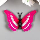 Магнит "Бабочка с двойными крылышками" 6х6,5 см - фото 15923948