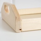 Поднос деревянный "Дачный", МАССИВ, 25×45×6,5 см - фото 6309069