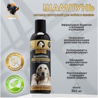 Шампунь антипаразитарный «Пижон Premium», 250 мл, двойная защита, для собак и щенков - Фото 1