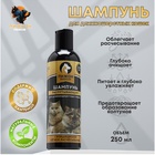 Шампунь-кондиционер «Пижон Premium» распутывающий, для длинношёрстных кошек, 250 мл - Фото 1