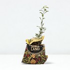 Саженец Годжи (горшок р9) Нью биг, 1 шт, Осень 2025 5169588 - фото 8084259