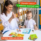 Настольная игра «Привет с фермы» - Фото 5