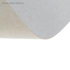Картон хром-эрзац А3 (30х42см), 50 листов, 360 г/м2, "Ладога" немелованный, 0.5мм - Фото 3
