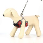 Шлейка с поводком, размер М, поводок 120×1 см, ОШ 28-48 см, ОГ 32-52 см, мягкая, красная, серая - Фото 3