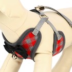 Шлейка с поводком, размер М, поводок 120×1 см, ОШ 28-48 см, ОГ 32-52 см, мягкая, красная, серая - Фото 4