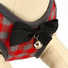 Шлейка с поводком, размер М, поводок 120×1 см, ОШ 28-48 см, ОГ 32-52 см, мягкая, красная, серая - Фото 5