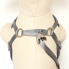 Шлейка с поводком, размер М, поводок 120×1 см, ОШ 28-48 см, ОГ 32-52 см, мягкая, красная, серая - Фото 7