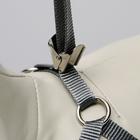 Шлейка с поводком, размер М, поводок 120×1 см, ОШ 28-48 см, ОГ 32-52 см, мягкая, красная, серая - Фото 9