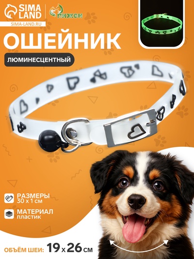 Ошейник «Нежные сердца», 30×1 см, ОШ 19-26 см, светящийся в темноте., цвет МИКС