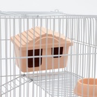 Клетка для грызунов "Пижон" №3, с 2-я этажами, укомплектованная, 33 х 24 х 28 см, бежевая - Фото 6