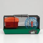 Клетка-мини для грызунов "Пижон" №1, укомплектованная, 27 х 15 х 13 см, зеленый микс - фото 35817206