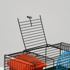 Клетка-мини для грызунов "Пижон" №1, укомплектованная, 27 х 15 х 13 см, зеленый микс - фото 35817209