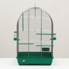 Клетка для птиц "Пижон" №101, цвет хром , укомплектованная, 41 х 30 х 65 см, зеленый микс - Фото 12