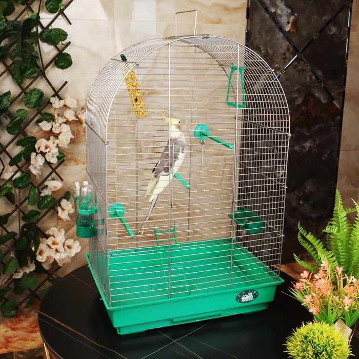 Клетка для птиц "Пижон" №101, цвет хром , укомплектованная, 41 х 30 х 65 см, зеленый микс - Фото 1