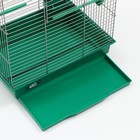 Клетка для птиц "Пижон" №101, цвет хром , укомплектованная, 41 х 30 х 65 см, зеленый микс - Фото 19