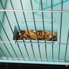 Клетка для птиц "Пижон" №101, хром , укомплектованная, 41х30х65 см, бирюзовая - Фото 8