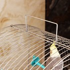 Клетка для птиц "Пижон" №101, хром , укомплектованная, 41х30х65 см, бирюзовая - Фото 11