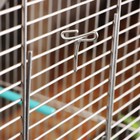 Клетка для птиц "Пижон" №102, хром, укомплектованная, 41х30х76 см, бирюзовая - Фото 9
