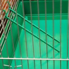 Клетка для птиц "Пижон" №102, хром, укомплектованная, 41х30х76 см, зеленый микс - Фото 5
