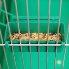 Клетка для птиц "Пижон" №102, хром, укомплектованная, 41х30х76 см, зеленый микс - Фото 8