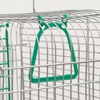 Клетка для птиц "Пижон" №102, хром, укомплектованная, 41х30х76 см, зеленый микс - Фото 17