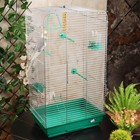 Клетка для птиц "Пижон" №102, хром, укомплектованная, 41х30х76 см, зеленый микс - фото 9017920