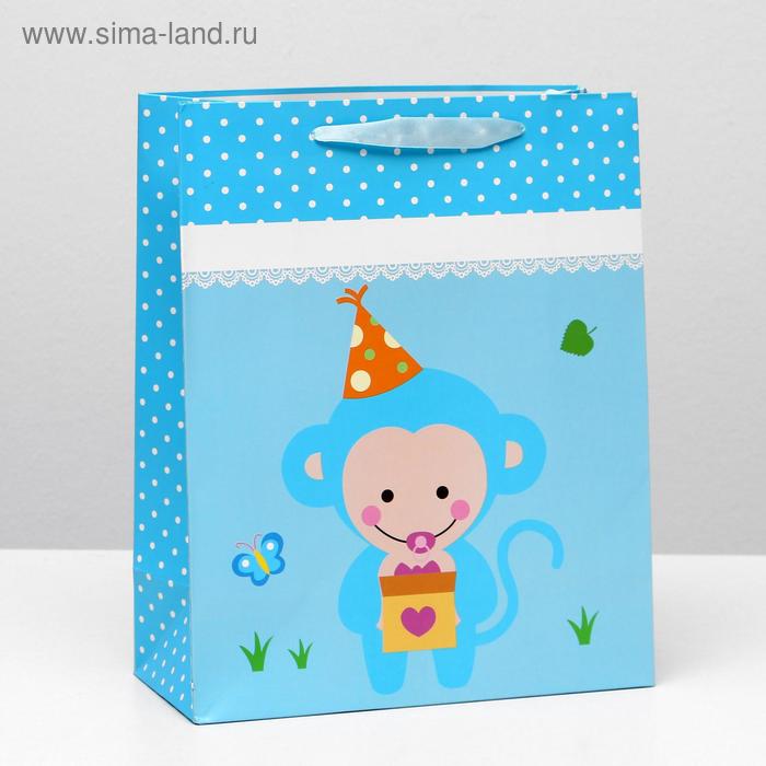 Пакет ламинированный, 26 x 32 x 12 см