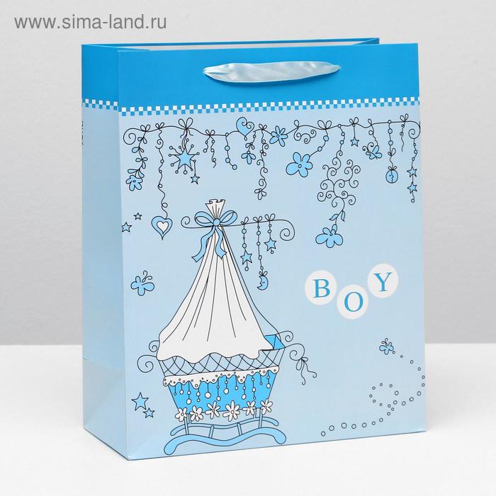 Пакет ламинированный, 26 x 32 x 12 см