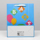 Пакет ламинированный "Слоник" 26x32x12 (комплект 11 шт) - фото 21087622