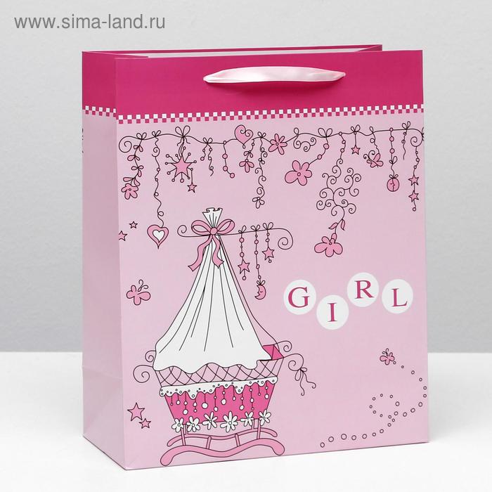 Пакет ламинированный, 26 x 32 x 12 см