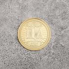 Монета "Да - Нет", диам 4 см, 7 х 8 см - фото 9137285