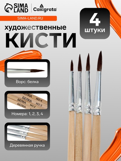 Набор кистей для рисования, белка, 4 штуки: № 1, 2, 3, 4, круглые, деревянная ручка, международный размер