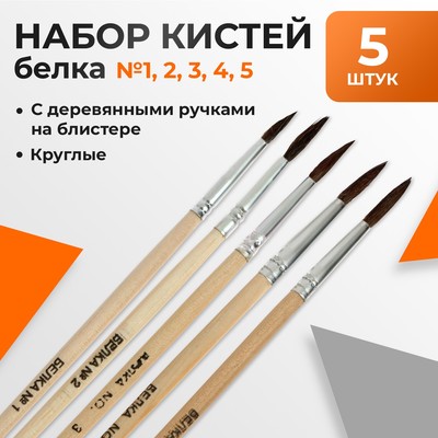 Набор кистей для рисования, белка, 5 штук: № 1, 2, 3, 4, 5, круглые, деревянная ручка, международный размер